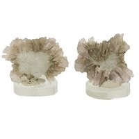 Aragoniet bloem uit Spanje