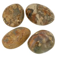 Fairy dream uit madagaskar