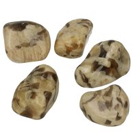 Zebradoriet graphic rookkwarts in veldspaat