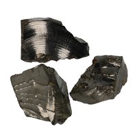 Zilver of nobel shungit