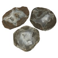 Thunderegg