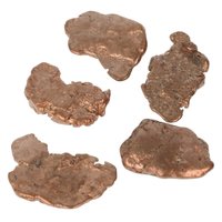 Koper nuggets uit Michigan in de U.S.A