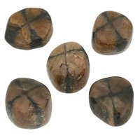 Kruissteen Chiastholiet