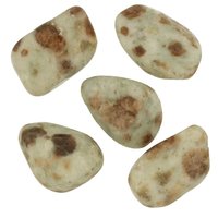 Hessoniet in wollastoniet