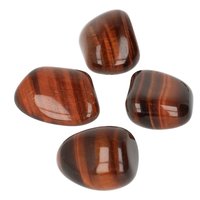 Rode Tijgeroog Katteoog