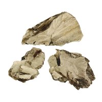 Gouden Mica met zwarte Toermalijn