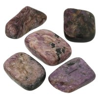 Charoïet met Fedoriet en Aegirien