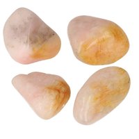 Golden Healer Petaliet