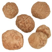 Sedona Sandstone (Sedonalite)