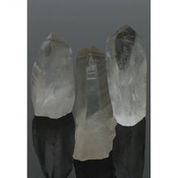 Inner Source Lemurian