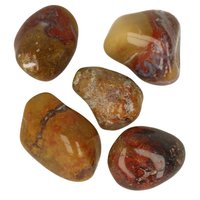 Fossiel jaspis uit India