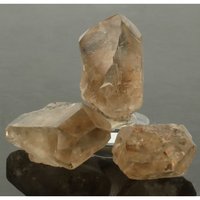 Zonnekind Citrien (Sunchild)