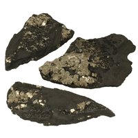 Git met Pyriet, Bahia, Brazilie