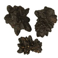 Z-Stone (Stervormige Prophecy Stone) (hij of zij die weet, je innerlijke Profeet)