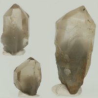 Citrien Rook met fantoom uit Bahia