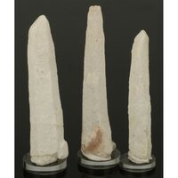 Sugar Blade Laser (Wisdom Keeper)