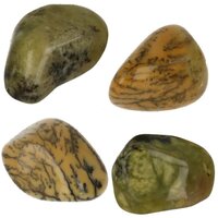 Groene Merliniet uit Brazilie