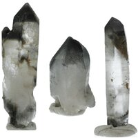Black Phantom Lemurian uit Bahia, Brazilie (Balancing Stone)