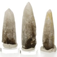 Morion Rookkwarts Sugarblade, veelal Scepter kristal (Discovery stone)