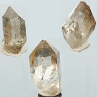 Rookkwarts met Rutiel