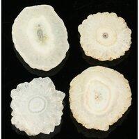 Solar Quartz (Zonnekwarts)