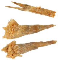 Gouden Seleniet uit Australië