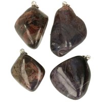 Richteriet bustamiet