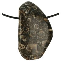 Turitella Agaat  doorboord