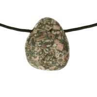 Crinoid fossiel in Marmer (Australië) doorboord