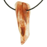 Desiriet (soort amfibool ) doorboord