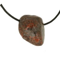 Dinosaurusbot doorboord