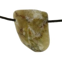 Groene Merliniet uit Brazilie doorboord