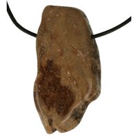 Versteend hout van de Mammoetboom doorboord