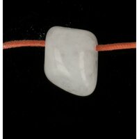 Sneeuwkwarts doorboord