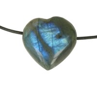 Labradoriet doorboord