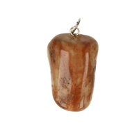 Versteend hout van de Mammoetboom Hanger