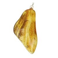 Barnsteen Amber Hanger