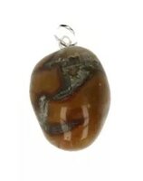 Fossiel jaspis uit India hanger