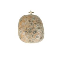 Fossil weed (stromatoliet ) hanger