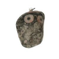 Crinoid fossiel in Marmer hanger