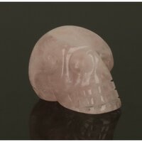 ROZENKWARTS SCHEDEL ALIËN draken TRAVELLER