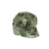 Phreniet SCHEDEL ALIËN DRAKEN TRAVELLER