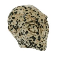 Jaspis Dalmatier -alien