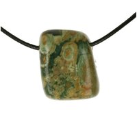 REGENWOUDJASPIS doorboord