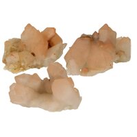 Flamingo Kaarskwarts (Agni, heilig vuur)