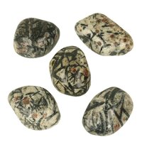 Granaat met Hoornblende in Veldspaat