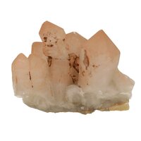 Flamingo Kaarskwarts (Agni, heilig vuur) ruw