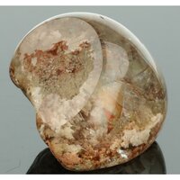 Lodoliet sjamaankriatal lemurian free