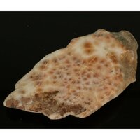 Natroliet Roze uit Indonesië (Rhodatroliet) ruw