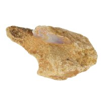 Versteend Hout met Opaal uit Australië ruw